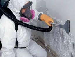 Best Mold Remediation for Healthcare Facilities  in Ken Caryl, CO